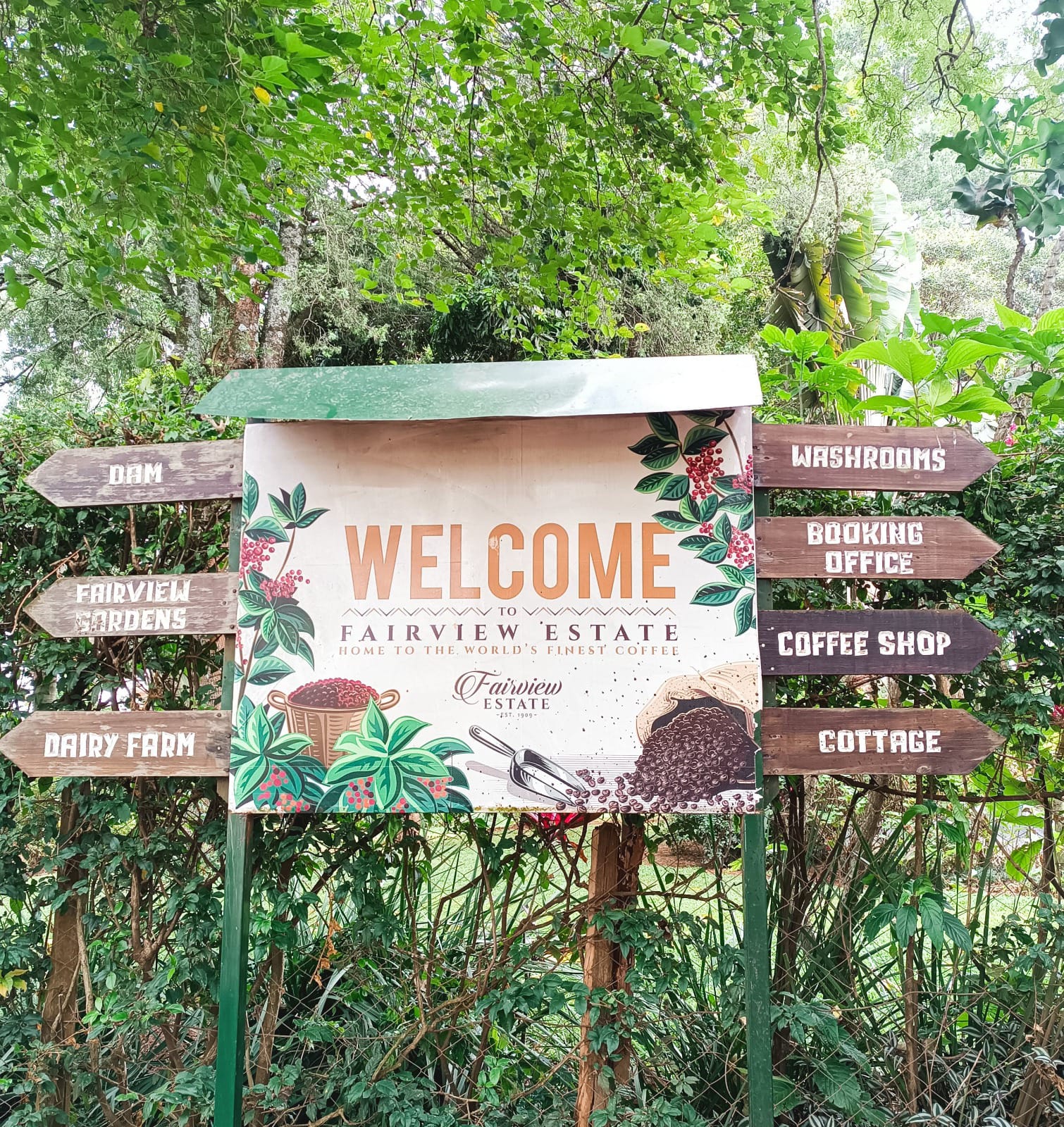 Fairview Coffee Tour